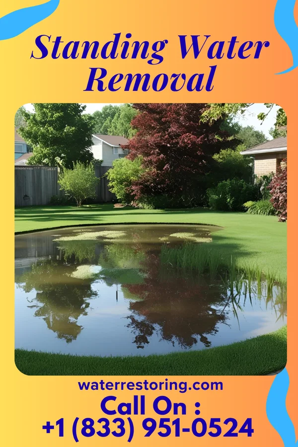 Standing Water Removal in Douglasville, GA